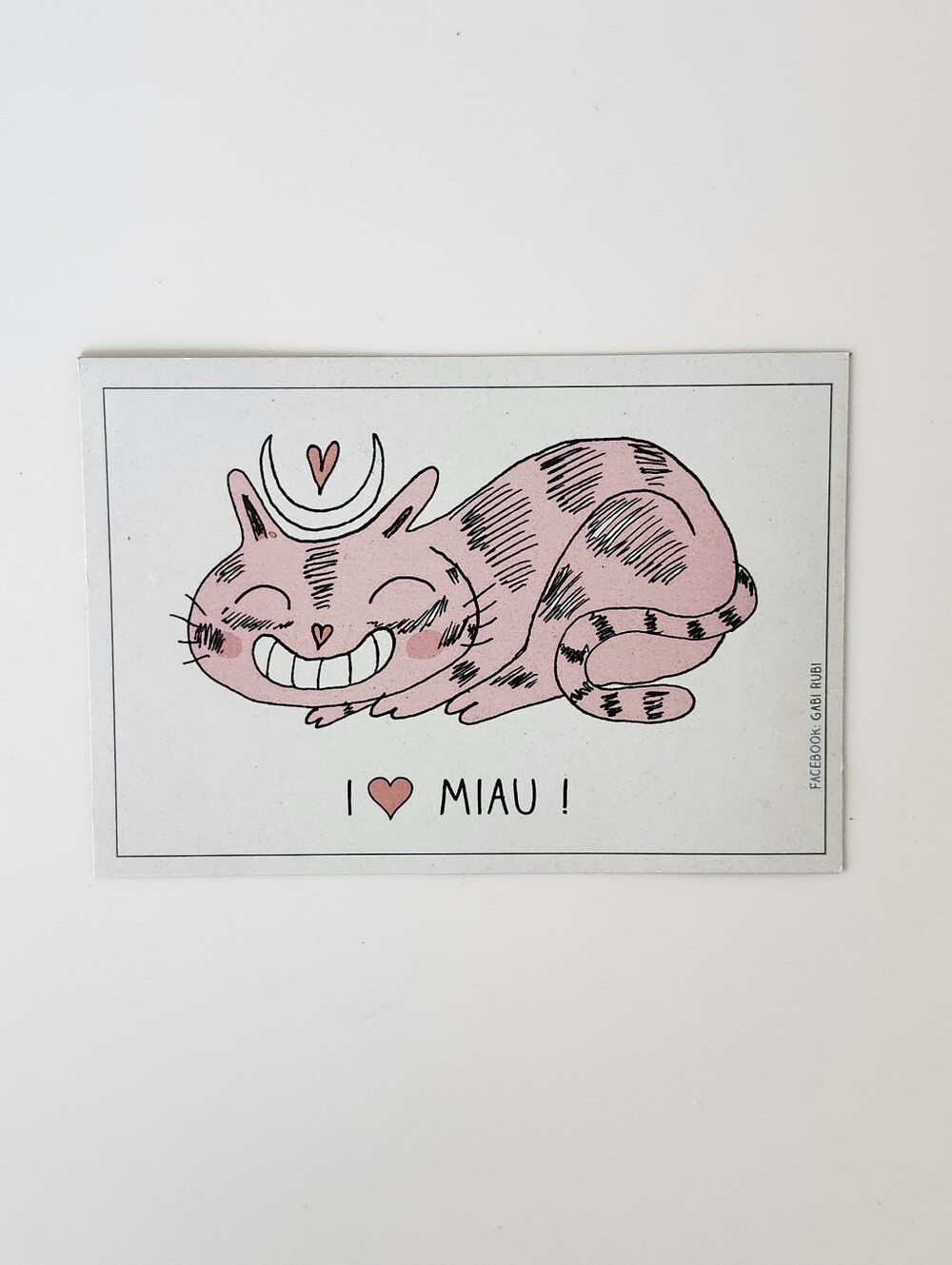 **FREE add-on** Pink Cat Illustration Magnet